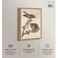 thumbnail image 2 of Watchful Pair Canvas Print Botanical Art by Art Remedy, Gold Frame, 36 x 54, 2 of 6