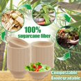 thumbnail image 3 of 8oz Disposable Paper Bowls,Compostable Bagasse Bowls,Small Biodegradable Heavy-Duty Bowls Gift compatible Hot and Cold Food Gift, 3 of 5