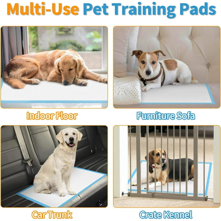 Dog training pads at cheap walmart