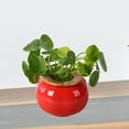 thumbnail image 3 of Baoblaze Persimmon Flower Vase Figurine Decorative Vase Ceramic Vase Desktop Ornament for L, 3 of 6