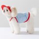 thumbnail image 4 of Traje de protección solar para perro con bolsa de hielo removible, poliéster transpirable, UPF50+, incluye sombrero y enganche para correa, para paseos al aire libre y viajes a la playa., 4 of 9