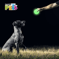 thumbnail image 2 of Juguete Pelota Diamante Glow Fancy Pets glow, 2 of 2