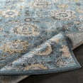 thumbnail image 5 of Surya Azul Polyester 2' X 3' Rectangle Area Rugs AZU2306-23, 5 of 7