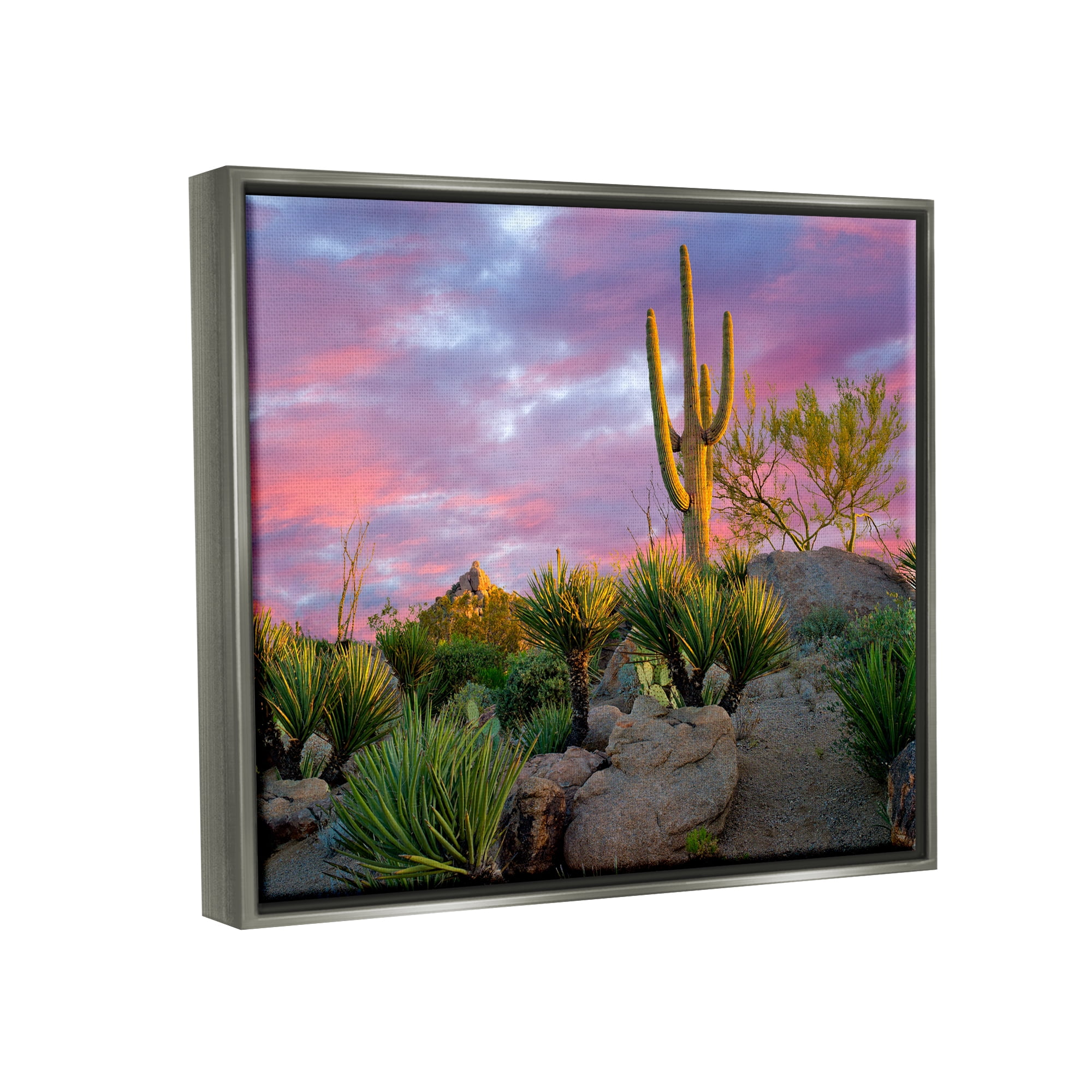 Stupell Industries Pink Sunrise Arid Cactus Plants Landscape Photography Gray Floater Framed Art Print Wall Art