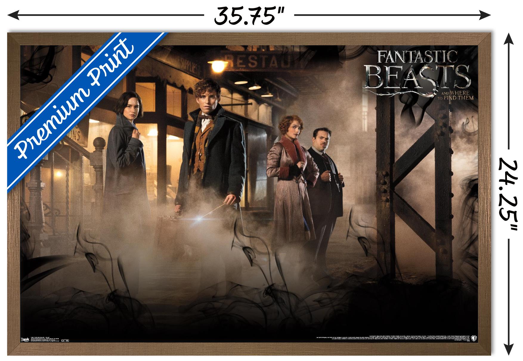 Fantastic Beasts And Where To Find Them - Teaser One Sheet Wall Poster, 22.375" x 34", Framed