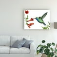 thumbnail image 3 of Trademark Fine Art 'Hummingbird And Flower I' Canvas Art by Grace Popp, 3 of 4