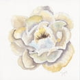 thumbnail image 2 of Dyer, Beverly 12x12 White Modern Wood Framed Museum Art Print Titled - Backyard Peony II, 2 of 4