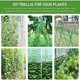 thumbnail image 4 of Red de Enrejado para Plantas Trepadoras 5m x 1,8m Vhermosa, 4 of 5
