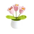thumbnail image 1 of Abbracc Crochet Flower Mini Potted Artificial Plants for Car Dashboard Desktop Shelf Style E, 1 of 9