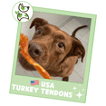 thumbnail image 7 of Nature Gnaws Natural USA Turkey Tendons for Dogs (1 lb) Rawhide-Free Pet Chew Treats, 7 of 7