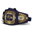 thumbnail image 6 of IGLOO  Baltimore Ravens WWE Legacy Belt Cooler, 6 of 7