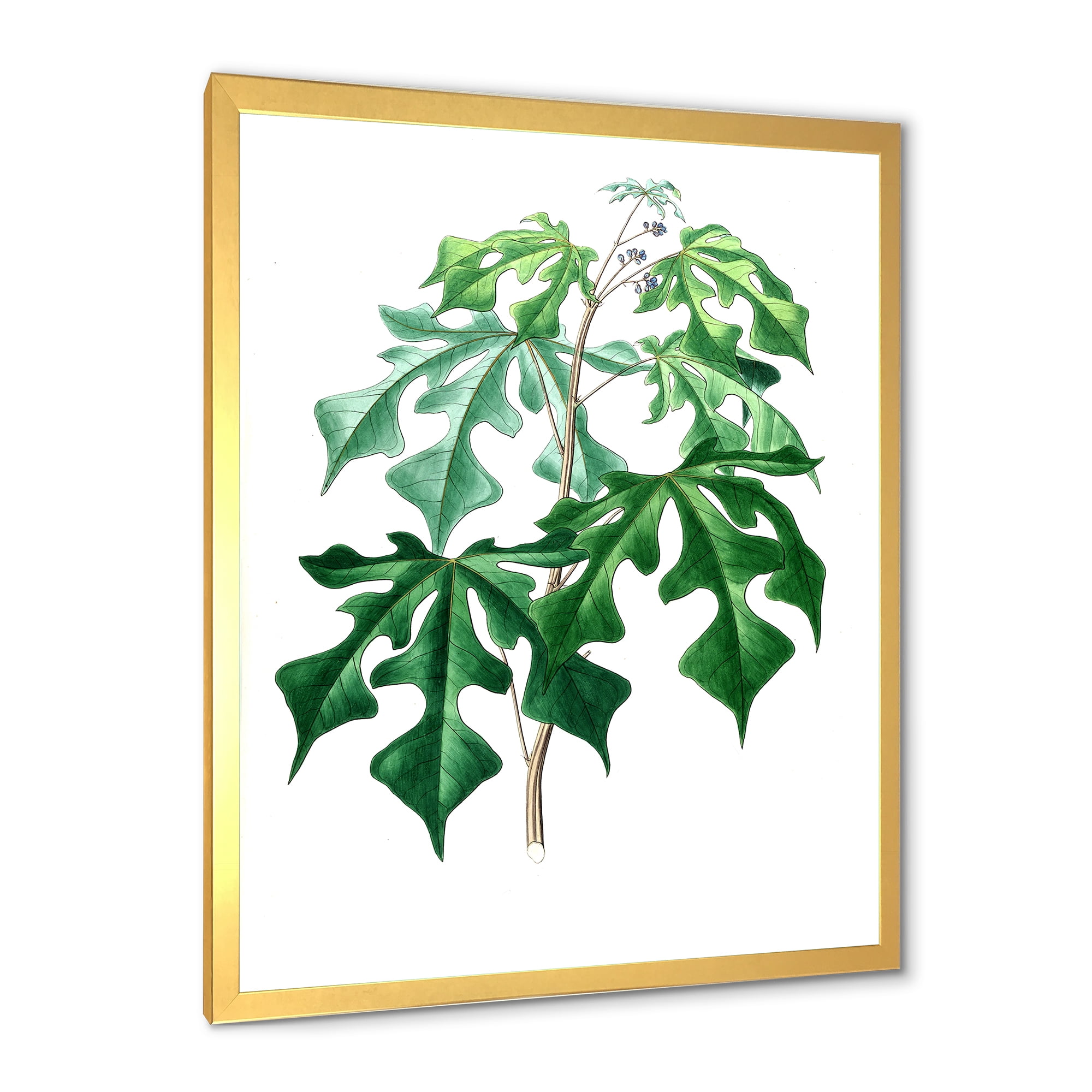 Designart 'Ancient Green Leaves Plants II' Traditional Framed Art Print