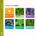 thumbnail image 4 of ArtNaturals Therapeutic-Grade Essential Oil Gift Set, Lavender, Rosemary, Tea Tree, 6 x 10 ml, 4 of 12