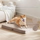 thumbnail image 2 of Cama ortopédica impermeable para perros grandes, 2 of 6