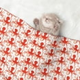 thumbnail image 2 of Disketp Octopuses1 Dog Blanket/Bed Cover for Dogs and Cats,Puppy Essentials-Large, 2 of 8