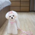 thumbnail image 1 of Correa de Seguridad de Perrito Suministros Accesorios de Mascotas Cinta, 1 of 7