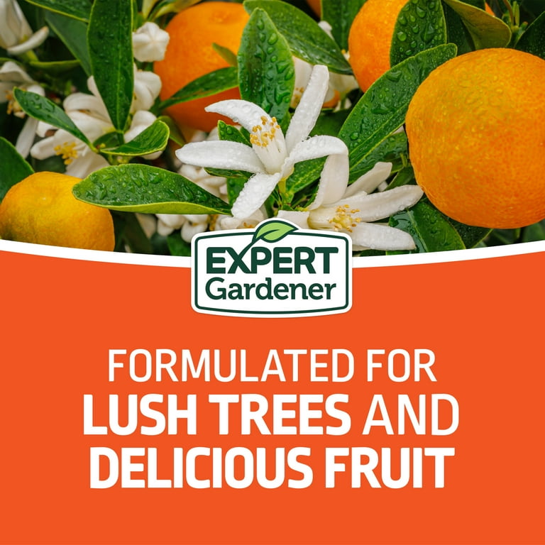 Expert Gardener Citrus Plant Food 6-4-6 Fertilizer 4 lb with