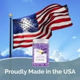 Begoon SMELLS BEGONE, Odor Absorber Gel, 48 oz, Lavender Vanilla scent ...