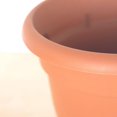thumbnail image 2 of Bloem Ariana Planter Grid - Self-Watering Plastic Round Planter - Small, Red, 2 of 6