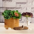 thumbnail image 2 of BalsaCircle 3 Green Assorted 6" Artificial Faux Succulent Picks Echeveria Rosettes Stems, 2 of 6