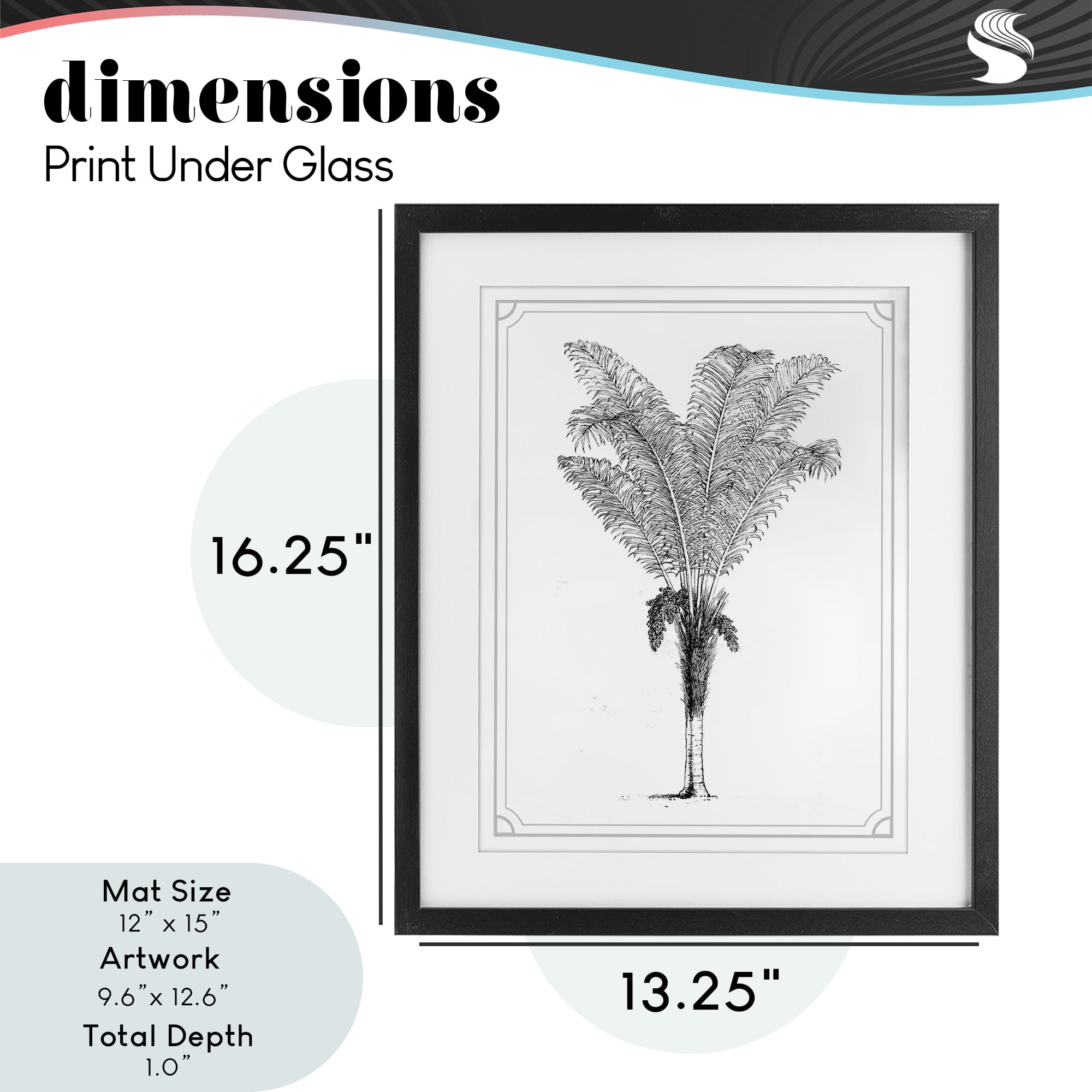 Vintage & Minimal Palm Black Framed Print Under Glass, design by Lettered and Lined