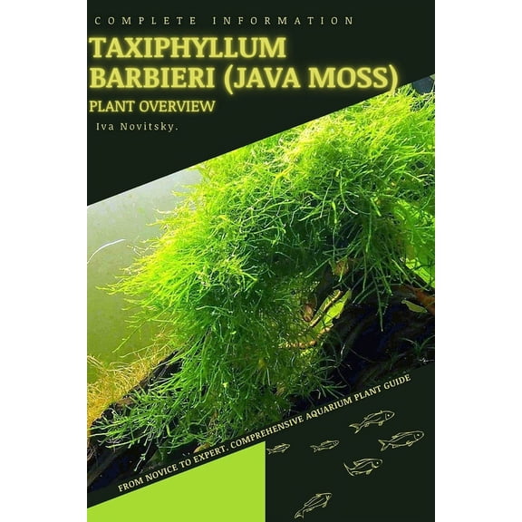 Taxiphyllum Barbieri (Java Moss) : From Novice to Expert. Comprehensive Aquarium Plants Guide (Paperback)