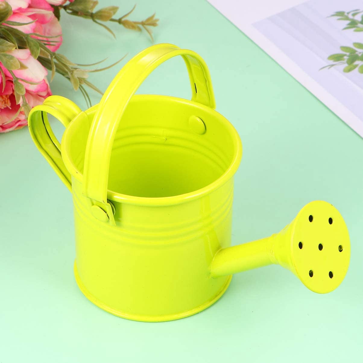 2PCS Metal Watering Can,Kids Can Small Iron Indoor Plants Sprinkling Kettle with Long Spout,Boys Girls Garden Pot for Outdoor or Play Time(Random Colors)
