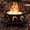 Black, variant on TVOFEK 35 inch Octagon Fire Pit with Grill and Poker, Wood Burning Firepits, Outdoor Fire Barrell for Bonfire, Backyard, Patio, Picnic, Camping, Black