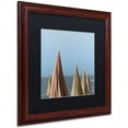thumbnail image 2 of Trademark Fine Art "Grossetto Parasol II" Canvas Art by Alan Blaustein, Black Matte, Wood Frame, 2 of 4
