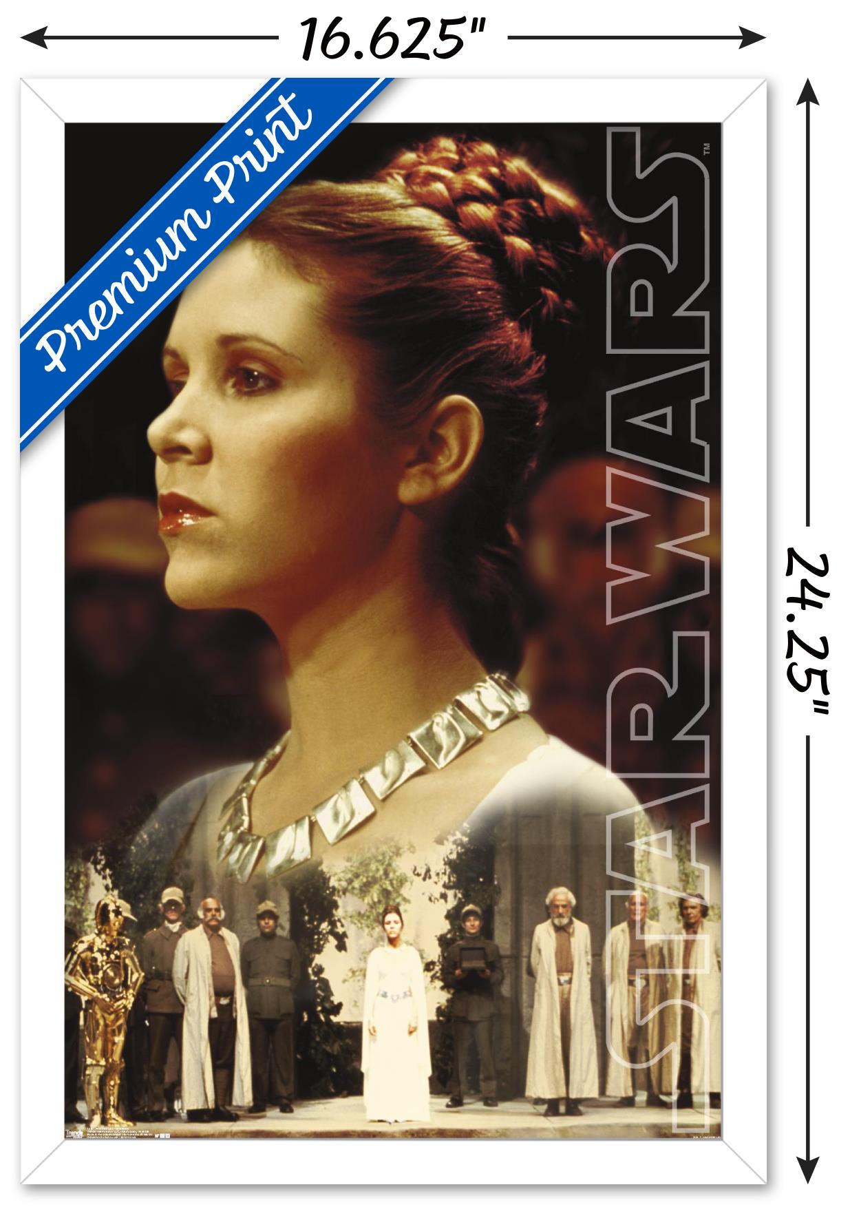Star Wars: Saga - Princess Leia - Ceremony Wall Poster, 14.725" x 22.375", Framed