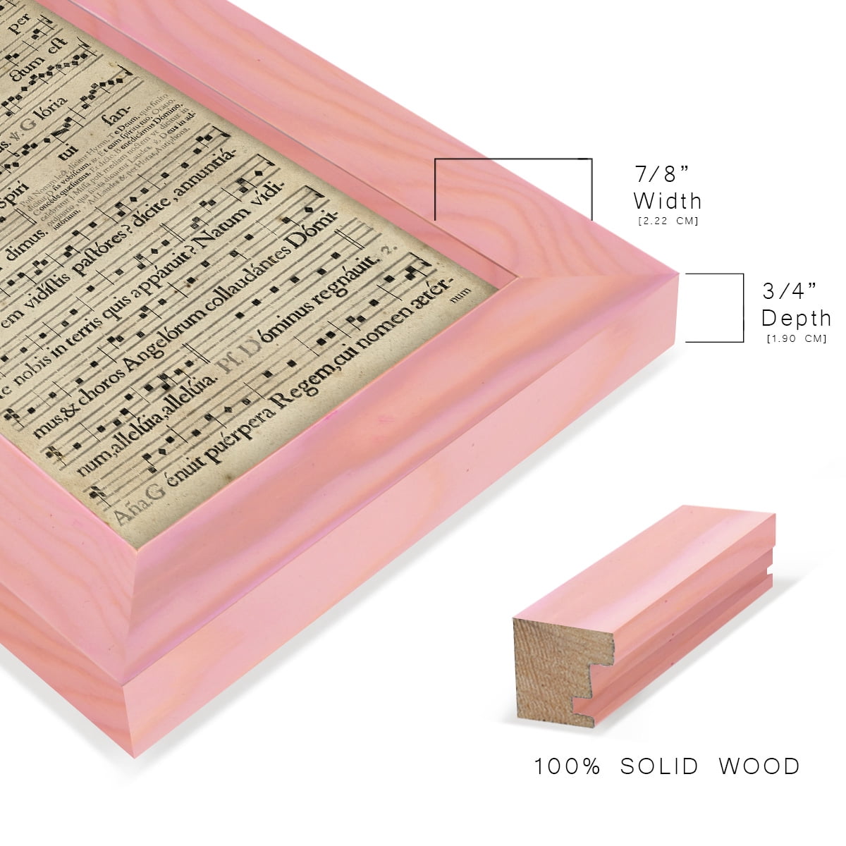 Vellum Songbook III -Framed Print w/glass-Sunset Pink