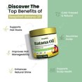 thumbnail image 5 of BeepWell Batana Oil from Honduras (4.2 fl oz) – Unrefined Hair Oil for Shine, Softness & Scalp Moisture – Lightweight & Versatile for All Hair Types, 5 of 9