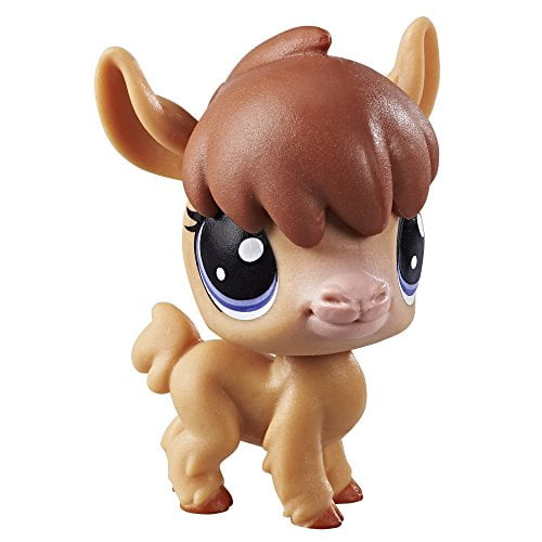 First pet best sale shop