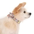 thumbnail image 3 of Cute Girl Dog Collars for Small Medium Large Dogs, Floral Pattern Female Pet Dog Collars with Flower for Wedding Holiday, 3 of 6