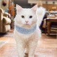 thumbnail image 2 of Oreja de mascotas portátil Elástica SNAST SNOOD COMIDAD, 2 of 7