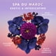 thumbnail image 3 of Crema de Manos Moroccanoil Spa du Maroc 40 mL, 3 of 6
