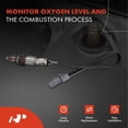 thumbnail image 2 of A-Premium O2 Oxygen Sensor Compatible with Nissan Murano 2020-2024, Pathfinder 2022-2024, Maxima 2022-2023 & Infiniti QX60 2022-2024, Downstream, 2 of 5