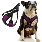 Gooby Comfort X Step In Lite Harness - Purple, Medium - Escape Free Dog Harness with Easy-Snap Buckles and Flexible Body Frame for Small Dog and Medium Dog