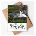 thumbnail image 1 of White Rabbits Science Nature Scenery Wedding Cards Congratulations Greeting Envelopes, 1 of 3