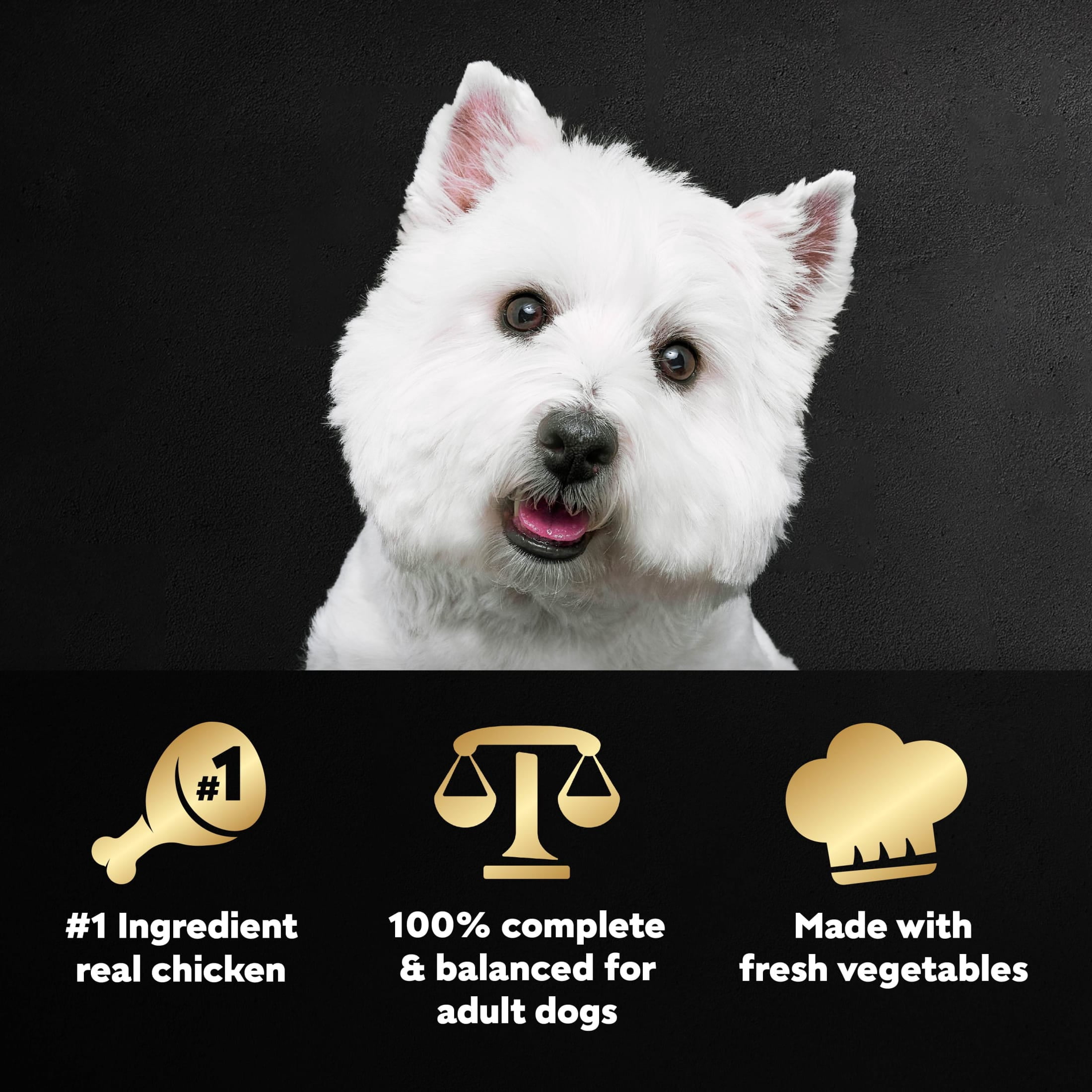 Cesar Wholesome Bowls Chicken, Carrots, Barley, & Green Bean Recipe Adult Wet Dog Food, 3 oz Bowl
