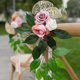 thumbnail image 4 of (17075 Blanco) Luz natural Estilo de lujo Boda Decoración del lugar al aire libre Silla Respaldo Flores, 4 of 14