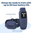 thumbnail image 5 of PetSafe Basic Dog Trainer with Remote – 300 ft Range – Tone, Vibration and Eight Levels of Static, 5 of 8