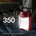 thumbnail image 5 of Energizer 500 Lumens Battery Powered Camping Lantern, 5 of 11