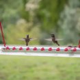 thumbnail image 4 of Flmtop Red Long Tube Bird Hummingbird Food Hanging Feeder for Yard Red, 4 of 9