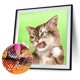 thumbnail image 3 of Cuadros Decorativos Lindo gato divertido Diamante Pintura 5D DIY Taladro redondo completo Imagen JShteea Nuevos Originales, 3 of 9