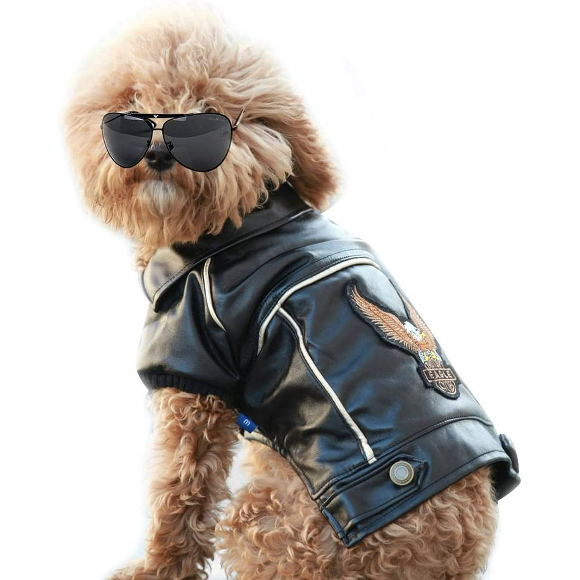 Pu Leather Motorcycle Jacket, Dog Puppy Pet Clothes Leather Jacket,  Watherproof(XXXL) | Walmart Canada