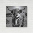 thumbnail image 3 of Luxe Metal Art 'Fluffy Cow' by Epic Portfolio Metal Wall Art, 36"x36", 3 of 9