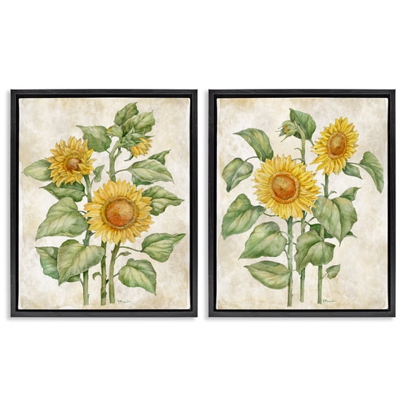 Stupell Industries Floral Journal Sunflower Studies 2 Piece Black Framed Floater Canvas Set, design by Paul Brent