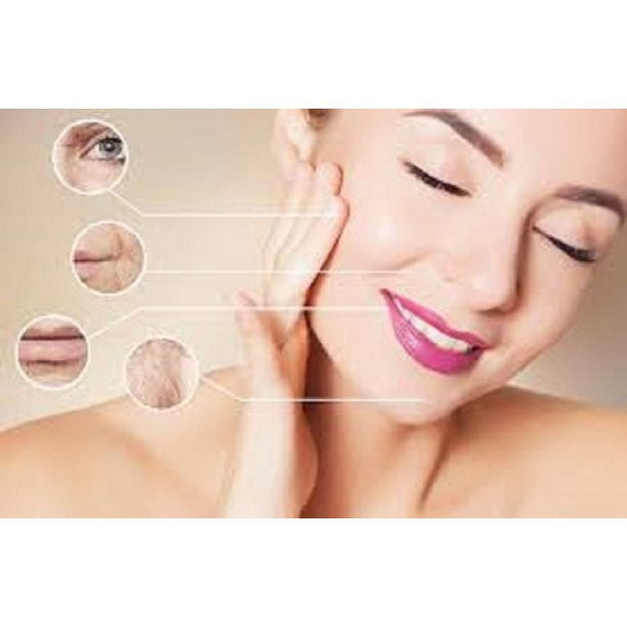 (3 Pack) South Beach Skin Lab - Anti-Aging Face Cream and Ageless Moisturizer - Ingredients for All Skin Types