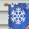 thumbnail image 3 of Carolines Treasures SC9779CHF Redbone Coonhound Winter Snowflakes Flag Canvas House Size, 3 of 4